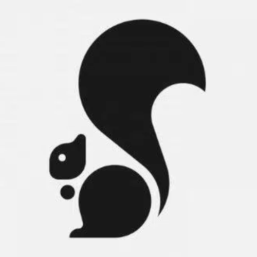 东升国际 logo